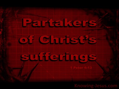 1 Peter 4:13 Rejoice To Partake In Christ's Suffering (red)